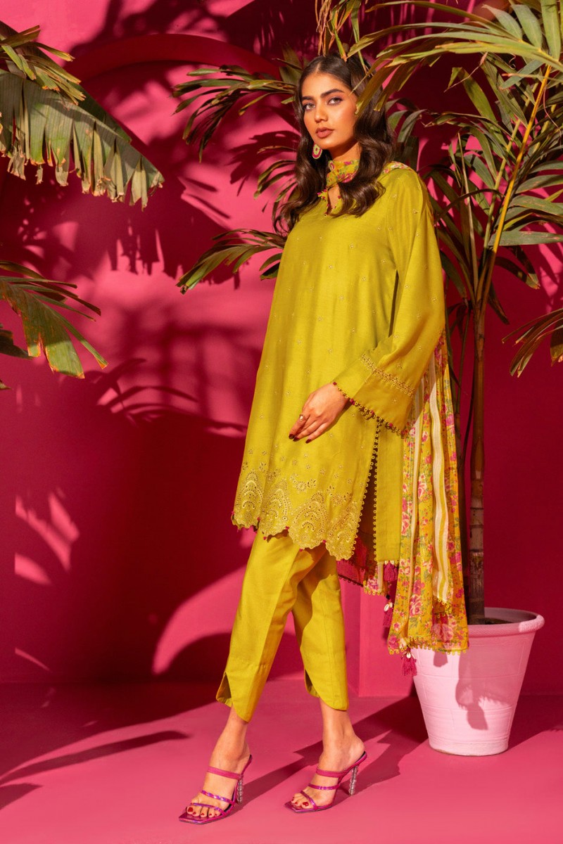 /2024/02/alkaram-studio-rang-e-bahar-unstitched-3-piece-embroidered-poly-lawn-suit-with-zari-stripes-dupatta-a132377857-image1.jpeg